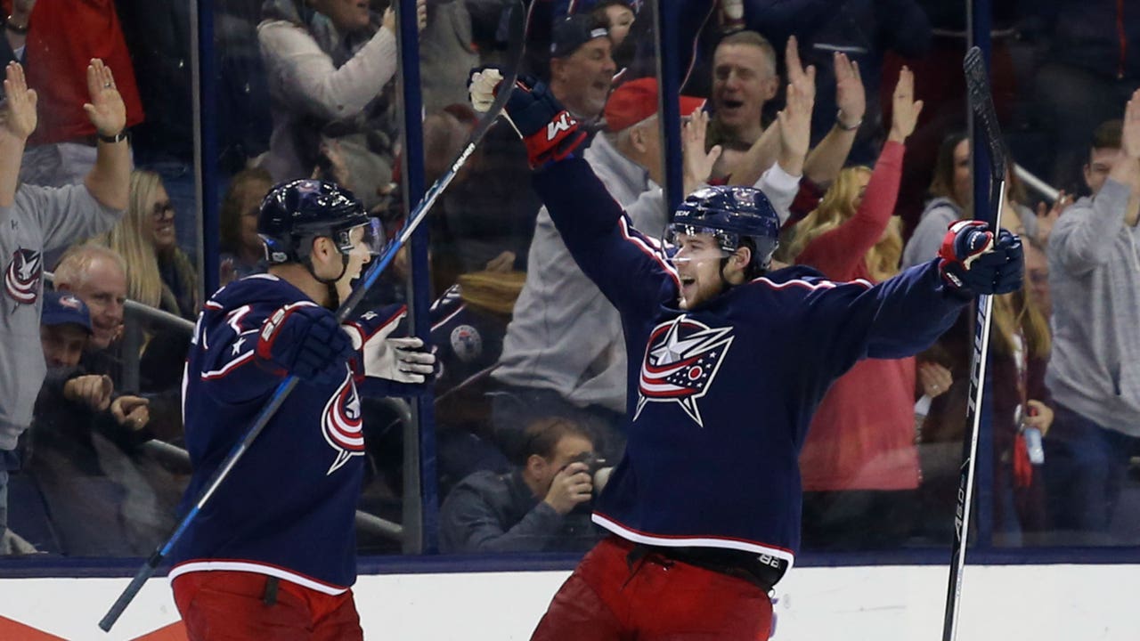 Anderson scores late in 3rd to lift Blue Jackets over Ducks 4-2